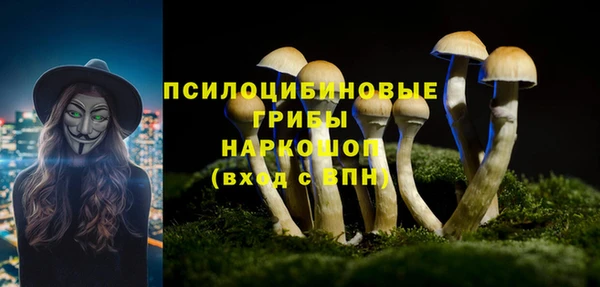 крисы Осташков