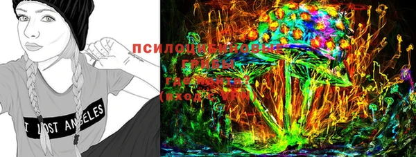 крисы Осташков