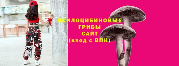 стафф Осинники