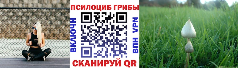 как найти наркотики  Лодейное Поле  Псилоцибиновые грибы GOLDEN TEACHER 