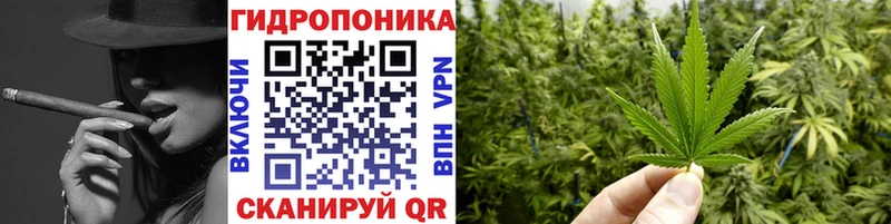 продажа наркотиков  площадка какой сайт  Шишки марихуана ГИДРОПОН  Лодейное Поле 